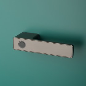 Ручка APRILE Mahonia RTH L WC - GYM_2